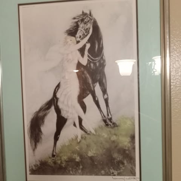 Meet your Posher, Liam - Picture 1 of 1